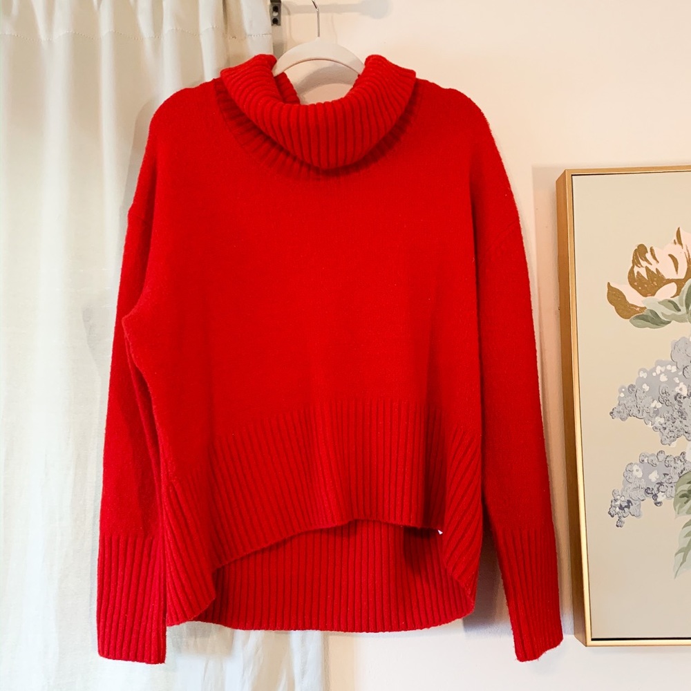 Rachel Zoe Turtle Neck Sweater